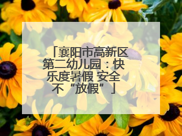 襄阳市高新区第二幼儿园：快乐度暑假 安全不“放假”