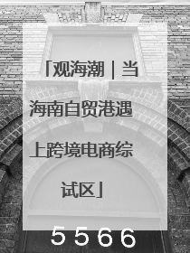 观海潮｜当海南自贸港遇上跨境电商综试区