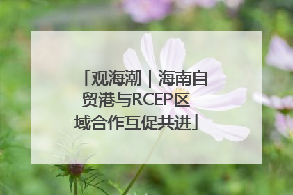 观海潮｜海南自贸港与RCEP区域合作互促共进