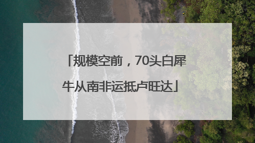 规模空前，70头白犀牛从南非运抵卢旺达