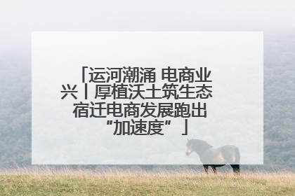 运河潮涌 电商业兴丨厚植沃土筑生态 宿迁电商发展跑出“加速度”