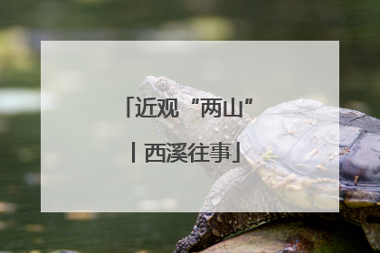 近观“两山”丨西溪往事