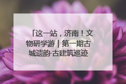 这一站，济南！文物研学游｜第一期古城遗韵·古建筑巡迹之旅圆满结束