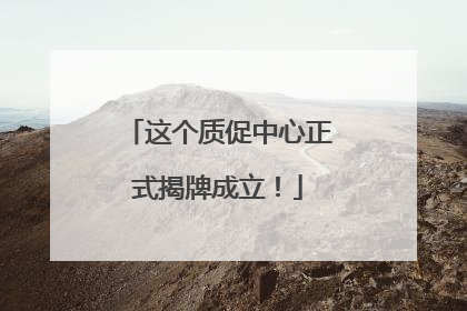 这个质促中心正式揭牌成立！