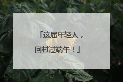 这届年轻人，回村过端午！