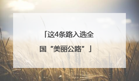 这4条路入选全国“美丽公路”