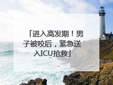 进入高发期！男子被咬后，紧急送入ICU抢救