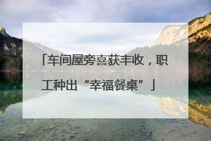 车间屋旁喜获丰收，职工种出“幸福餐桌”