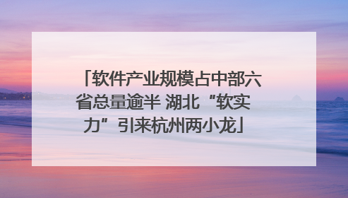 软件产业规模占中部六省总量逾半 湖北“软实力”引来杭州两小龙