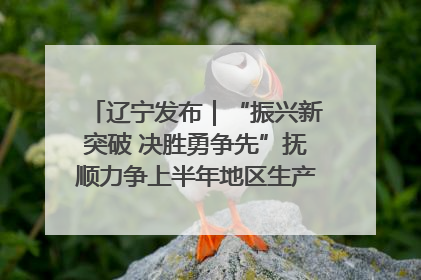 辽宁发布｜“振兴新突破 决胜勇争先”抚顺力争上半年地区生产总值增长7%左右