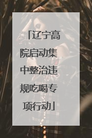 辽宁高院启动集中整治违规吃喝专项行动