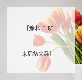 豫北“飞”来后备尖兵