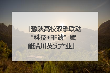 豫陕高校双擎联动 “科技+非遗”赋能潢川芡实产业