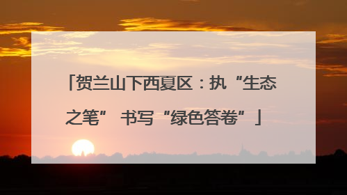 贺兰山下西夏区：执“生态之笔” 书写“绿色答卷”