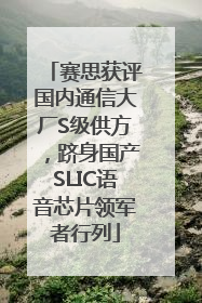 赛思获评国内通信大厂S级供方，跻身国产SLIC语音芯片领军者行列