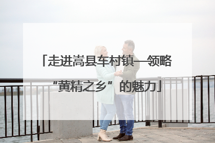 走进嵩县车村镇—领略“黄精之乡”的魅力