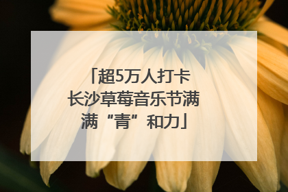 超5万人打卡 长沙草莓音乐节满满“青”和力