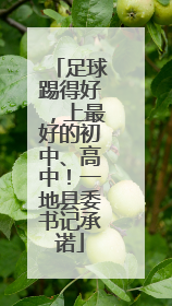 足球踢得好，上最好的初中、高中！一地县委书记承诺
