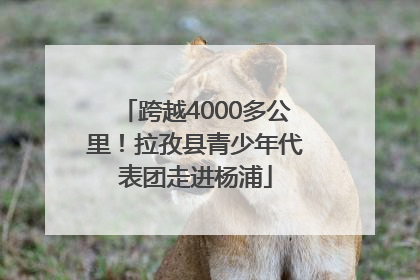 跨越4000多公里！拉孜县青少年代表团走进杨浦