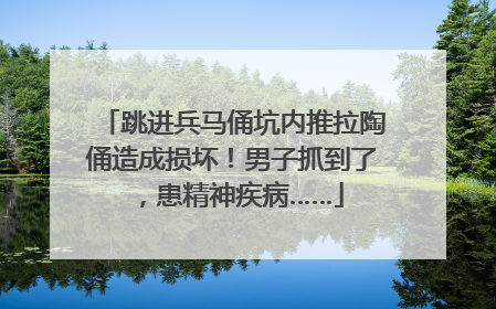跳进兵马俑坑内推拉陶俑造成损坏！男子抓到了，患精神疾病……