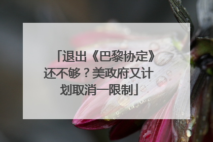 退出《巴黎协定》还不够？美政府又计划取消一限制