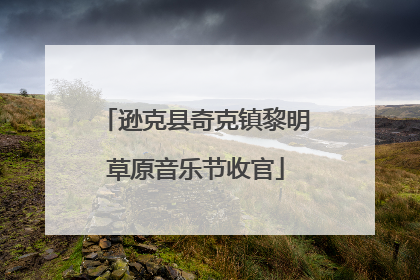 逊克县奇克镇黎明草原音乐节收官