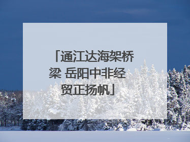 通江达海架桥梁 岳阳中非经贸正扬帆