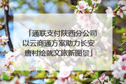 通联支付陕西分公司以云商通方案助力长安唐村绘就文旅新图景