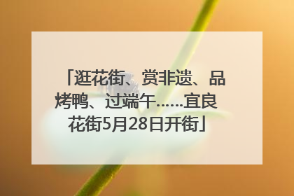 逛花街、赏非遗、品烤鸭、过端午……宜良花街5月28日开街