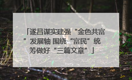 遂昌谋实建强“金色共富”发展轴 围绕“富民”统筹做好“三篇文章”