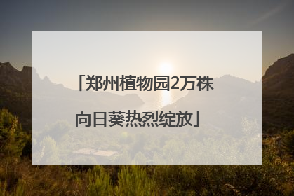 郑州植物园2万株向日葵热烈绽放