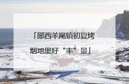 郧西羊尾镇初夏烤烟地里好“丰”景