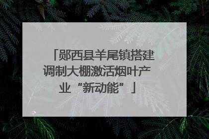 郧西县羊尾镇搭建调制大棚激活烟叶产业“新动能”