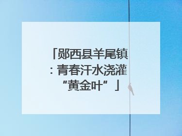 郧西县羊尾镇：青春汗水浇灌“黄金叶”