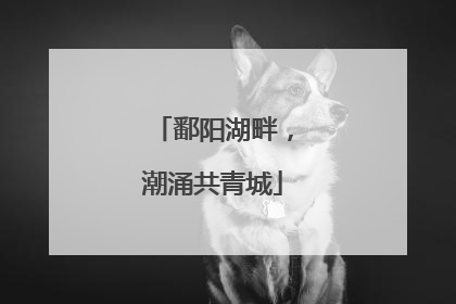 鄱阳湖畔，潮涌共青城