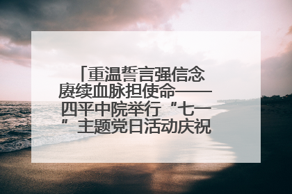 重温誓言强信念 赓续血脉担使命——四平中院举行“七一”主题党日活动庆祝建党104周年