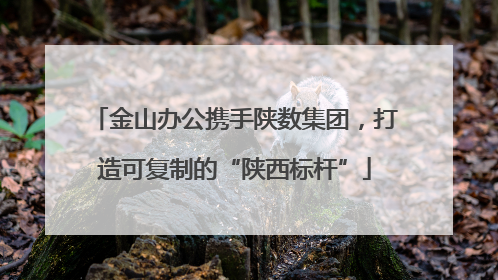 金山办公携手陕数集团，打造可复制的“陕西标杆”