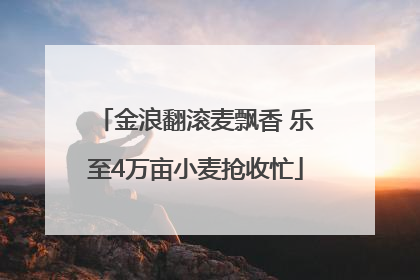 金浪翻滚麦飘香 乐至4万亩小麦抢收忙