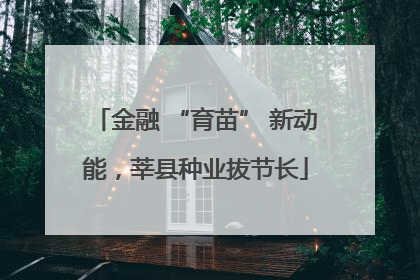 金融 “育苗” 新动能，莘县种业拔节长