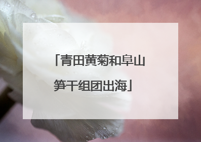 青田黄菊和阜山笋干组团出海