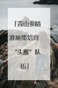 青山乡精准施策培育“头雁”队伍
