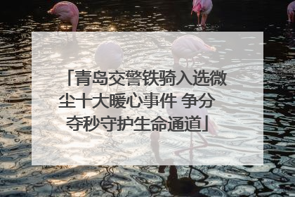 青岛交警铁骑入选微尘十大暖心事件 争分夺秒守护生命通道