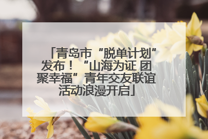 青岛市“脱单计划”发布！“山海为证 团聚幸福”青年交友联谊活动浪漫开启