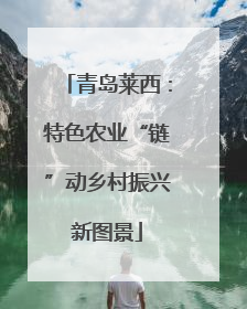 青岛莱西：特色农业“链”动乡村振兴新图景