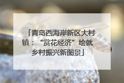 青岛西海岸新区大村镇：“赏花经济”绘就乡村振兴新图景