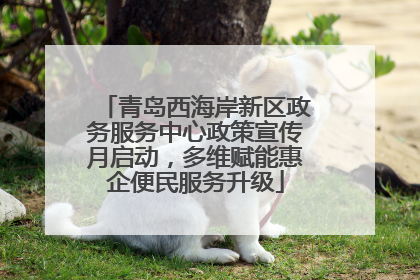青岛西海岸新区政务服务中心政策宣传月启动，多维赋能惠企便民服务升级