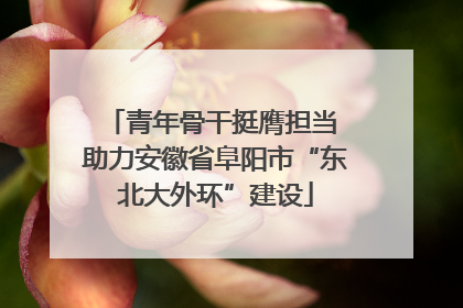 青年骨干挺膺担当 助力安徽省阜阳市“东北大外环”建设