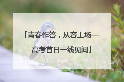 青春作答，从容上场——高考首日一线见闻