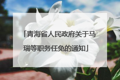 青海省人民政府关于马瑞等职务任免的通知