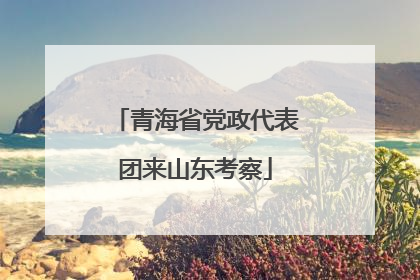 青海省党政代表团来山东考察